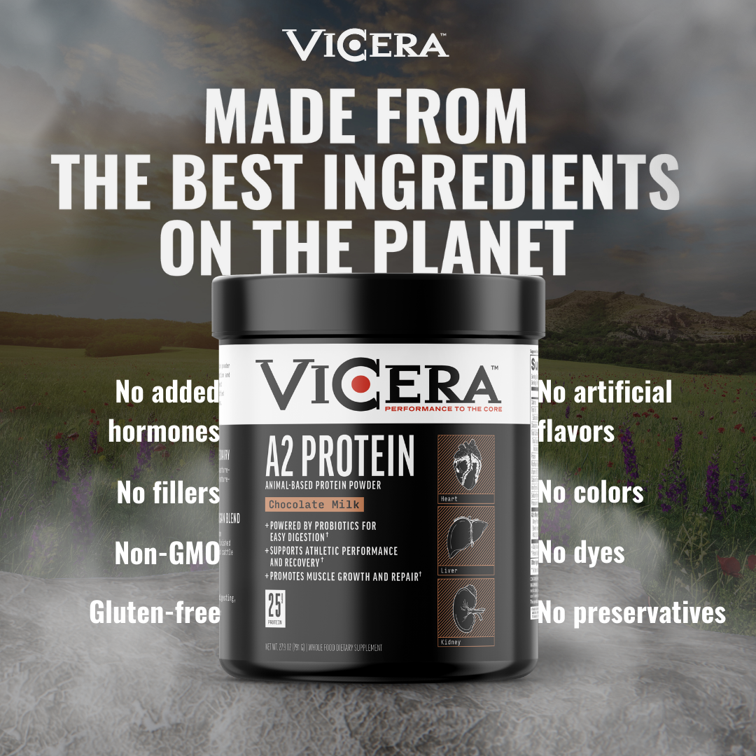 A2 PROTEIN | CHOCOLATE MILK