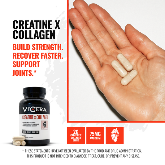CREATINE X COLLAGEN