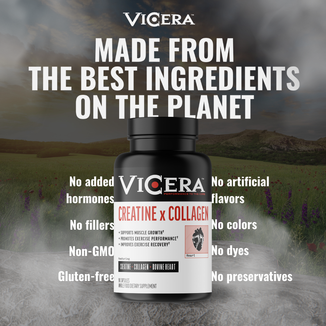 CREATINE X COLLAGEN