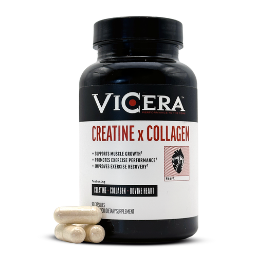 CREATINE X COLLAGEN